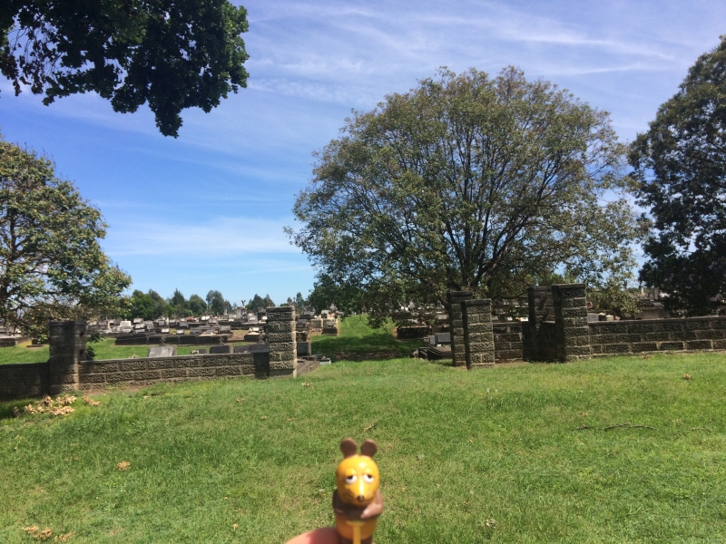 Australien, New South Wales, Grafton