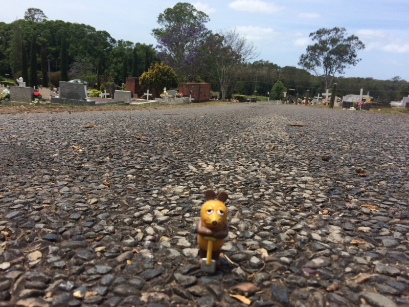 Australien, New South Wales, Kempsey