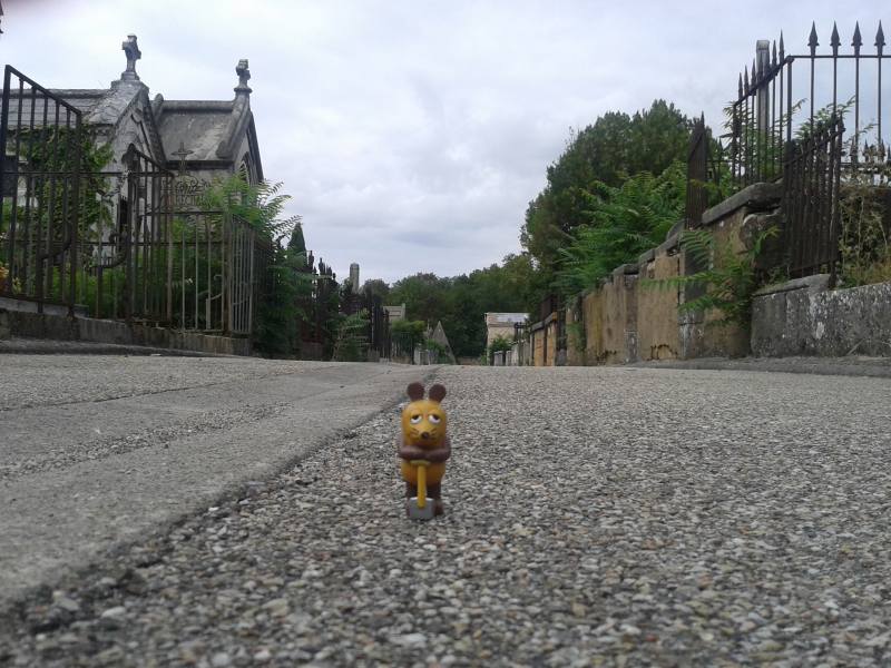 Lyon, Cimeti�re de Loyasse