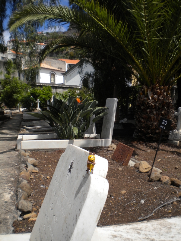 Funchal, Englischer Friedhof