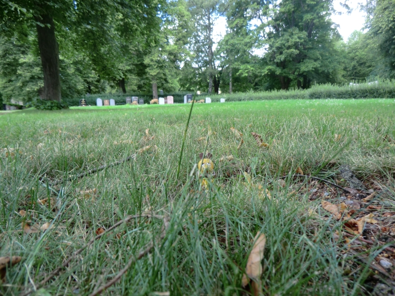 Norra begravningsplatsen, Solna